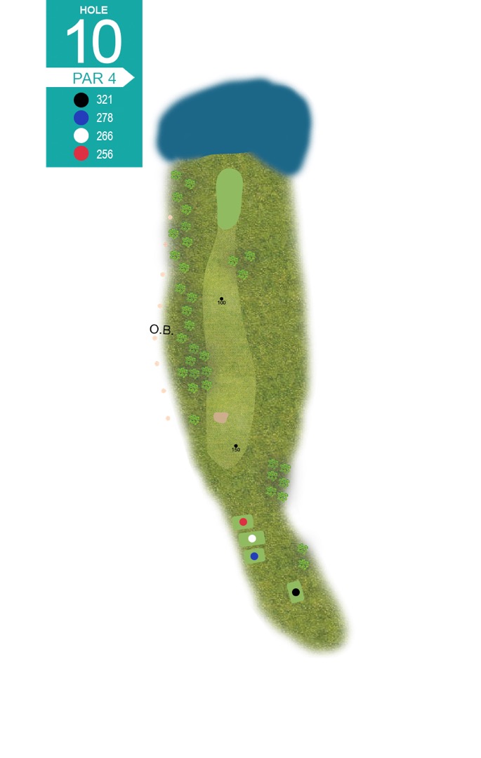 Hole 10