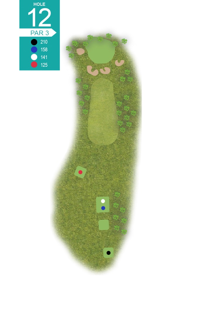 Hole 12