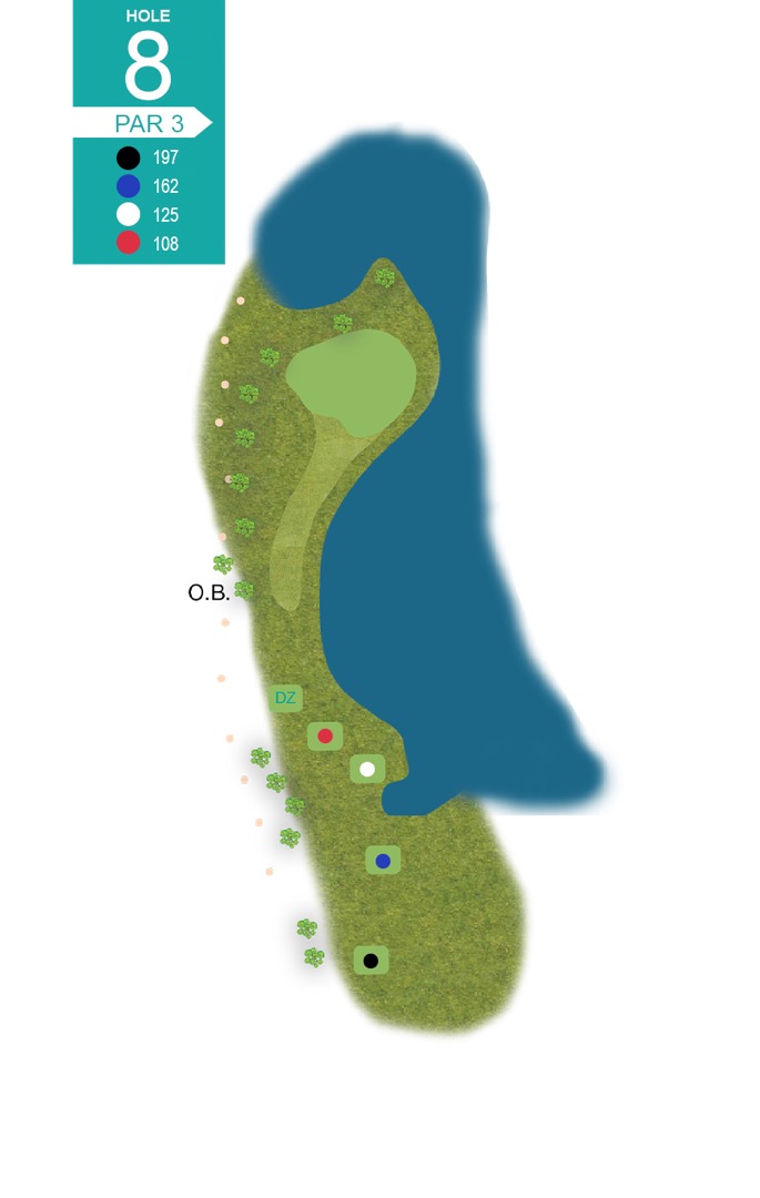 Hole 8